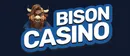 bisoncasino-pol.online